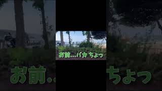 小旅行のハイライト