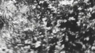 I hung my harp upon the willows - Trashcan Sinatras (hit HQ)