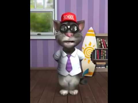 Punjabi Totay Tom Cat Funny Video 2016