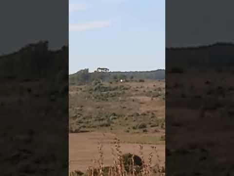 FILMARON UN OVNI A PLENA LUZ DEL DÍA EN CERRO LARGO