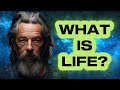 The Meaning Of Life - Alan Watts