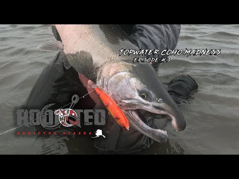 Alaska Salmon Fishing | Topwater Coho Madness in the Alaskan Wilderness | Addicted Alaska Ep. #3