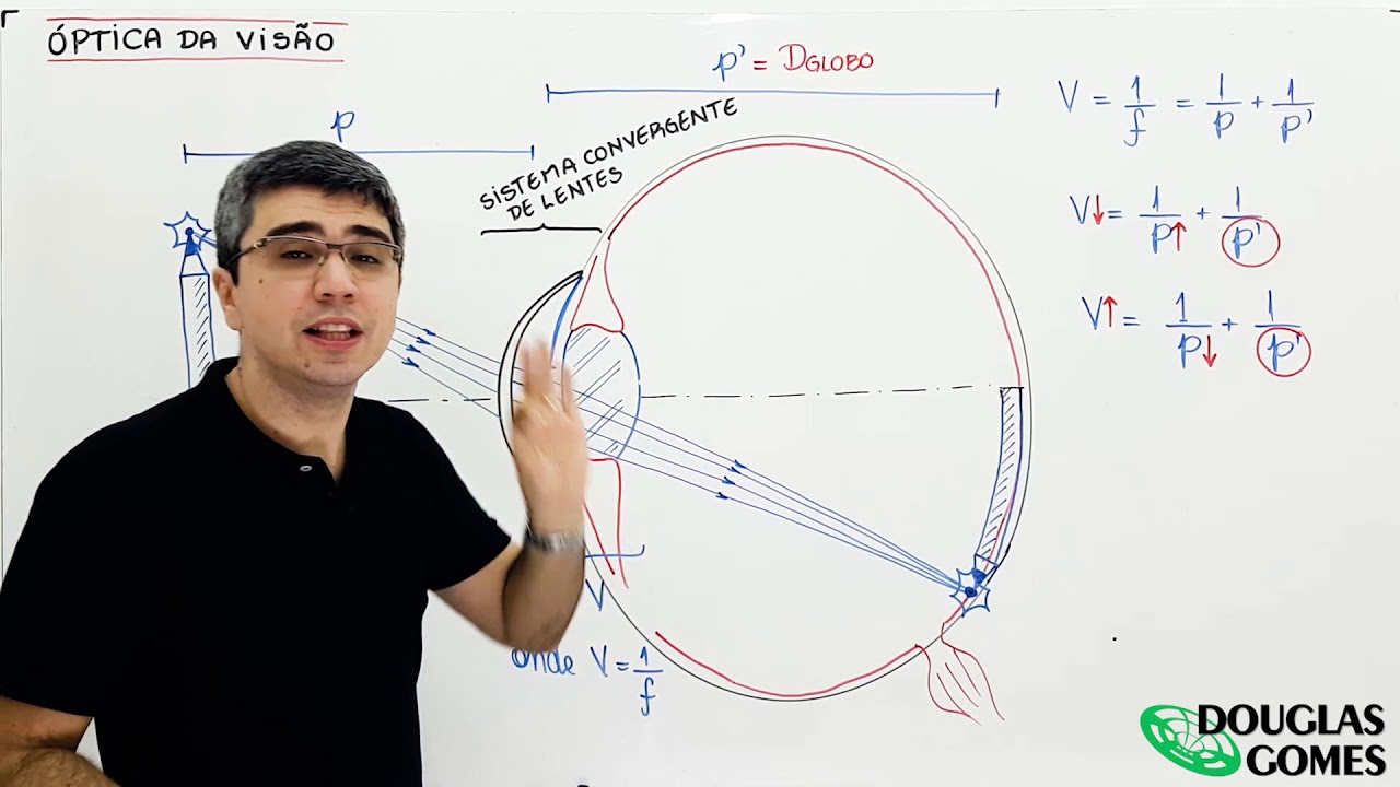 Como funciona o olho humano: óptica da visão