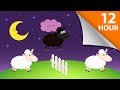 Baa Baa Black Sheep Lullaby For Babies To Go To Sleep Soothing Music For Restful Sleep