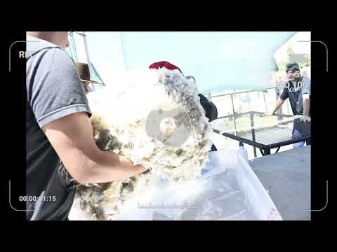 RIO MAYO CHUBUT  Tema 