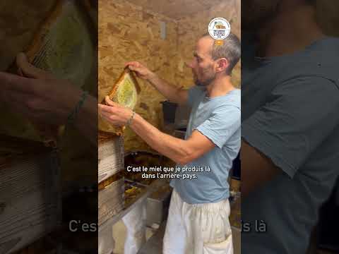 La Miellerie du Montaiguet | Prix Agricole des Produits de Provence 2025