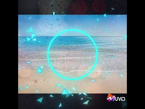 SAVU DOMOMI E DELAI NUKU2 - TAGICA VOLI🤙