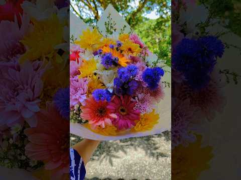 Birthday flowers 💐🥰 #morning #surprise #birthday #hubby #happyme #tyu #viralvideo #shorts