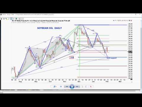 February 6th Trade What You See with Larry Pesavento on TFNN - 2017