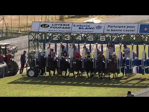 RM3 R6 | Trippi's Express | D.David