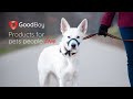 GoodBoy Head Halter Tutorial