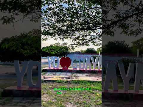 GUAYACANAL 🇨🇴 El Tesoro Escondido de La Guajira que Debes Conocer #Guayacanal#LaGuajira#colombia