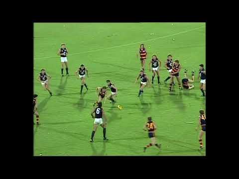 AFL Fight/Melee Jon Dorotich HUGE HIT on Paul Patterson Adelaide Crows