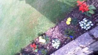 James Yorkston & The Athletes- Summer Song