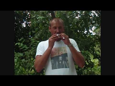 Food in The Amazon Rainforest