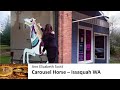 Ann Elizabeth Scott The Making Of A Carousel Horse