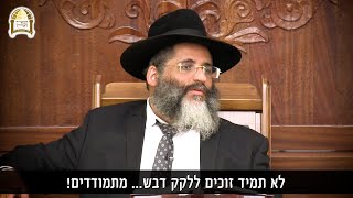 מה קורה בשמים ביום שישי בצהרים? ☀️🪔  רגע של אור עם הרב ישראל אברג'ל
