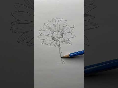 Draw a flower 🌸 Easy drawing lesson for beginners on how to draw a flower. #drawinglesson#howtodraw