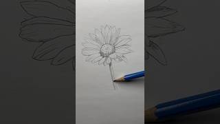 Draw a flower 🌸 Easy drawing lesson for beginners on how to draw a flo