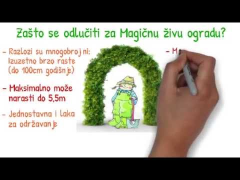 magicna ziva ograda BiH promo video