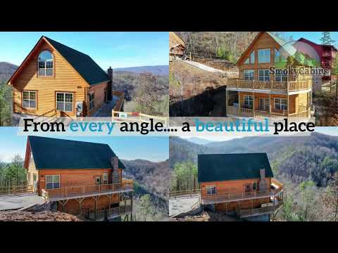 Can't Bear to Leave Cabin Rental in the Smokies