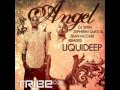 Liquideep - Angel (Sean McCabe Remix) 