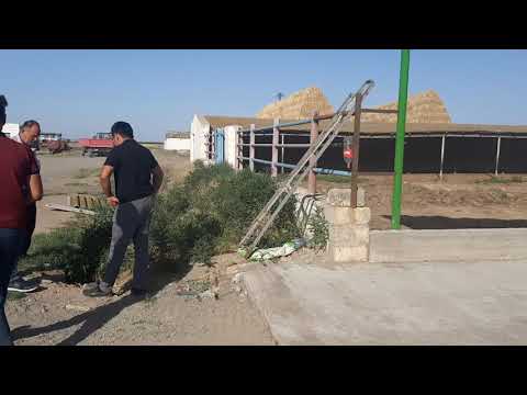 UMUT AGRO Samux rayonunda yerləşən Ferma üçün sıyırıcı və süd sağım sistemi üçün Təklif Hazırlayır