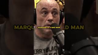 Joe Rogan on Marquez vs Pacquiao 4