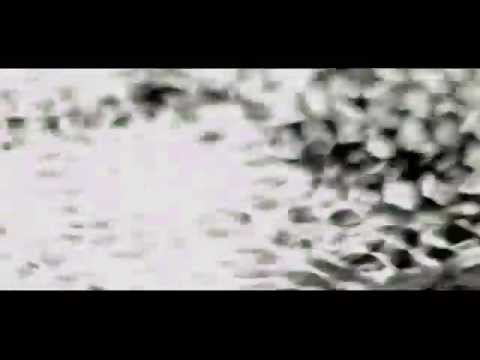 Avoid Dave - Inner Circles (Visualette)