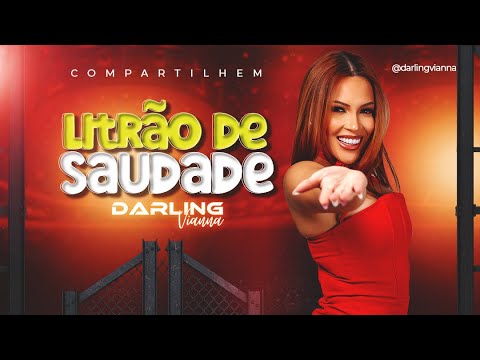 Litrão de Saudade - Darling Vianna - (Repertório) #brega