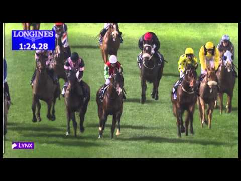 31.01.2013 Meydan (Dubai-UAE) 6.Race DUBAL Trophy - 1.400 m