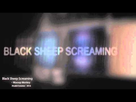 BLACK SHEEP SCREAMING - WASSUP MONKEY