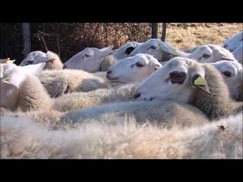 ARDECHE   chansons des ardechois