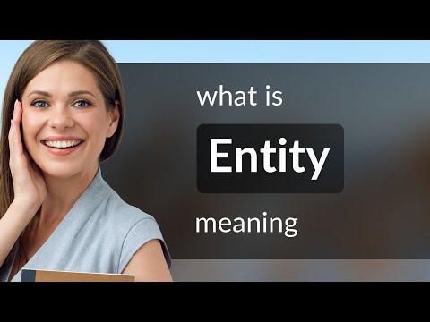 Entity | definition of ENTITY