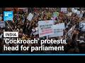 India S Cockroach Party Leads Thousands Of Youth In Protest To Parliament FRANCE 24 English
