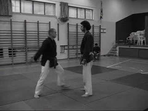 Hissaku no kata - Koto ryu Ninjutsu for AKBAN wiki