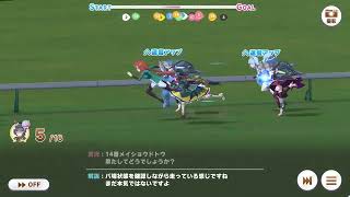 第九十一回デイリー凱旋門賞　2025/10/31 曇 良バ場