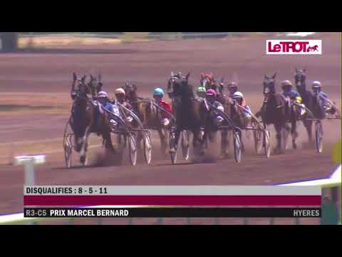 Django de Viette Hyeres 14-08-2017