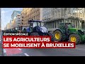 Édition Spéciale Les Agriculteurs Se Mobilisent à Bruxelles RTBF Info