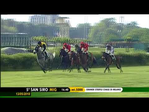 2018.05.13 Grande Steeple Chase Di Milano (ITA) - Martinstar