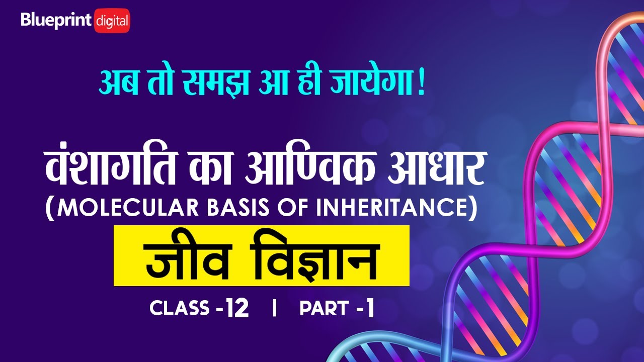 Mastermind Question Bank Jeev Vigyan Class 12 – Chitra Prakashan India ...