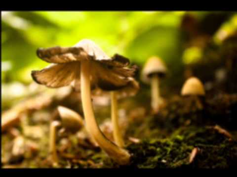 Wizack Twizack aka. Circle - After Touch