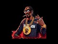 Freestyle Beat SMOKED SKUNK Free Type Beat 2025 Rap Trap Beat Instrumental
