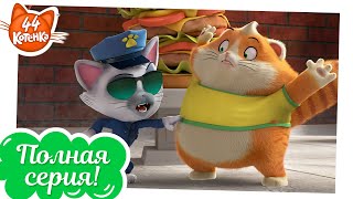 44 Котёнка - Кот-полицейский в действии