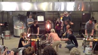 the birth of the rhinobago