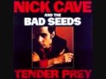 Nick Cave & The Bad Seeds _Sunday's Slave.wmv