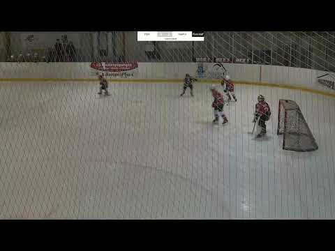 Pips - SapKo valkoinen 19.3.23 U10 Sjoki