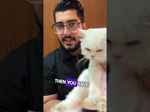 How to deworm your Cat and kittens #shorts #cat #kitten