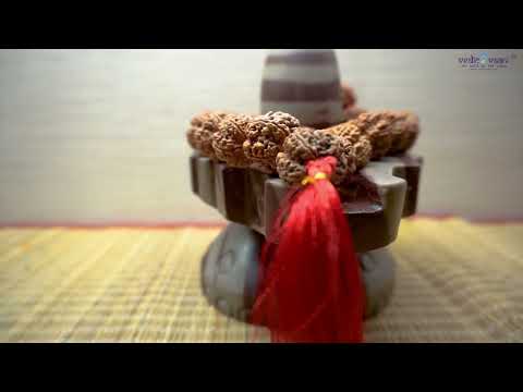 Tripundra Tilak Tridev Triloknath Bramha Swaroop Natural Shivlingam video