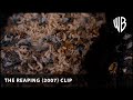 Maggot BBQ The Reaping 2007 Warner Bros UK